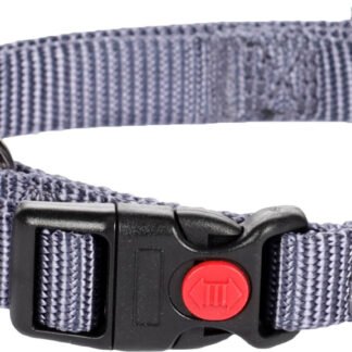 קולר זיגי לכלב פלמינגו מידה m