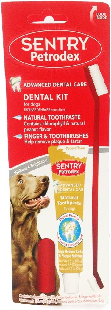 ערכה לצחצוח השיניים בטעם חמאת בוטנים 70 גרם