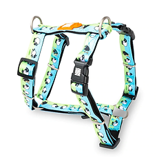 מקס ומולי- רתמה בעיצוב כבשים L