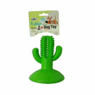 קקטוס מתחבר לריצפה