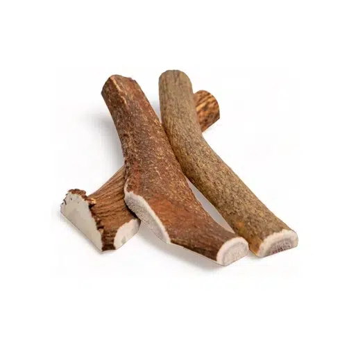 קרן אייל אדום חצויה – מידה M, משקל כ־80 עד 120 גרם