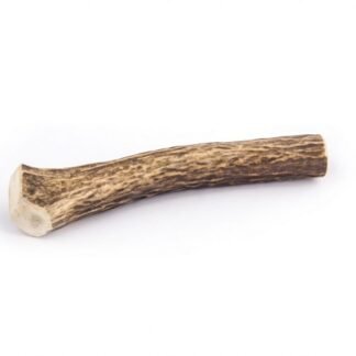 קרן אייל אדום שלמה L 150-220 ג"ר