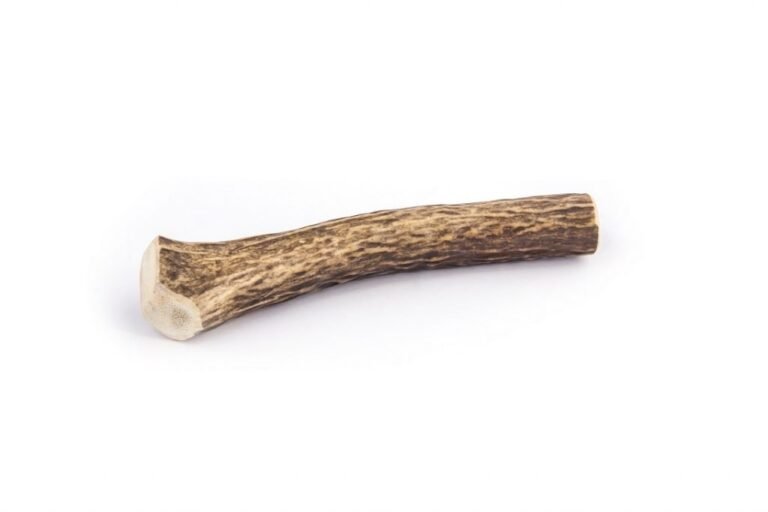 קרן אייל אדום שלמה L 150-220 ג"ר