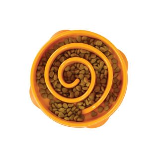 פאן פידר פרח כתום קטן