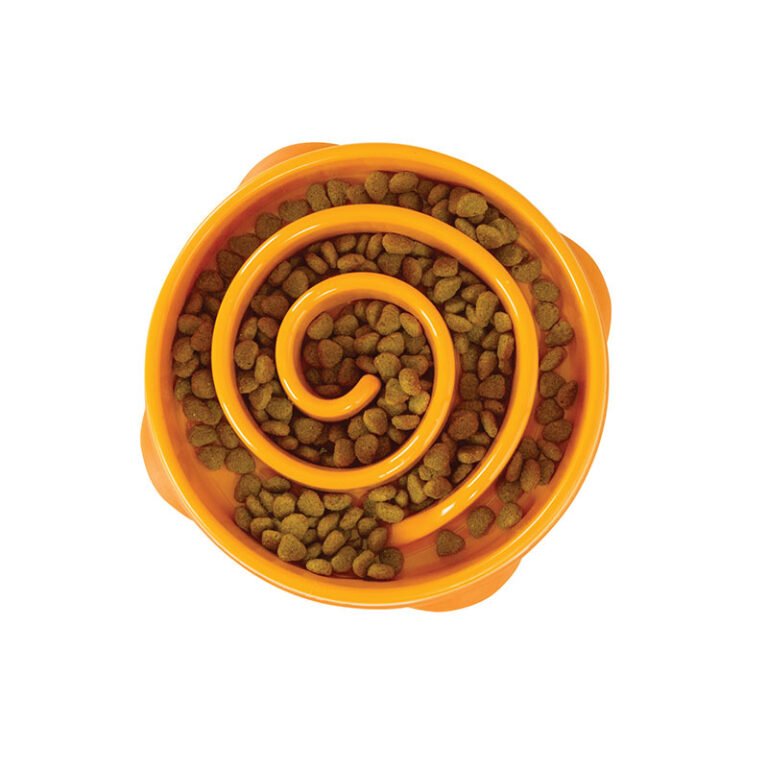 פאן פידר פרח כתום קטן