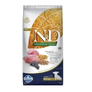 ND כבש גורים 7 קילוגרם