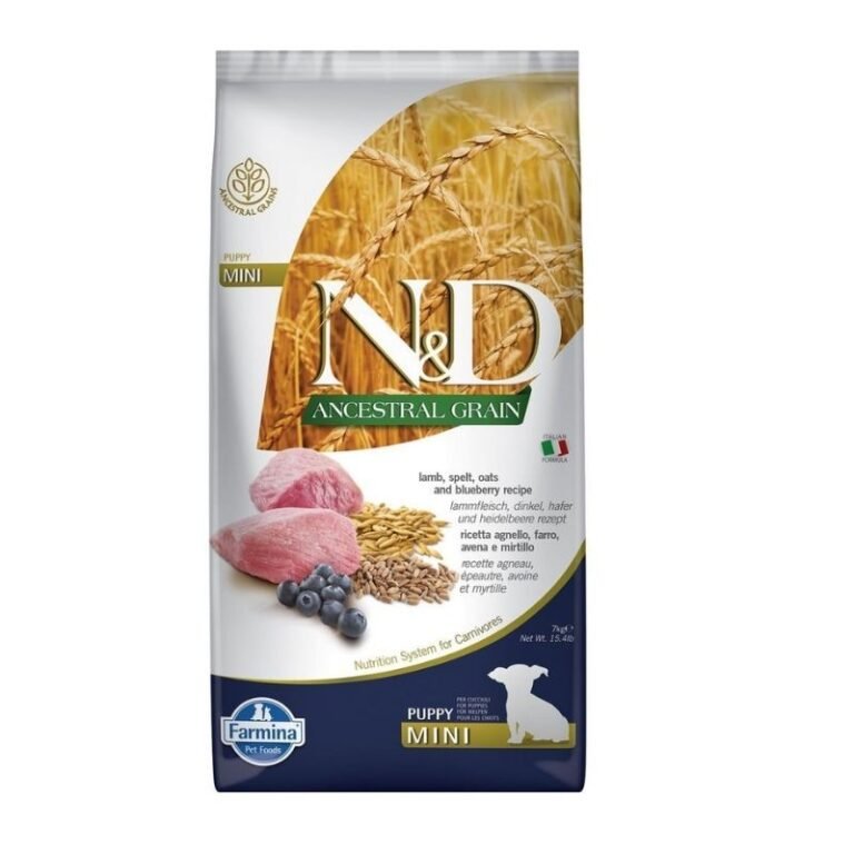 ND כבש גורים 7 קילוגרם