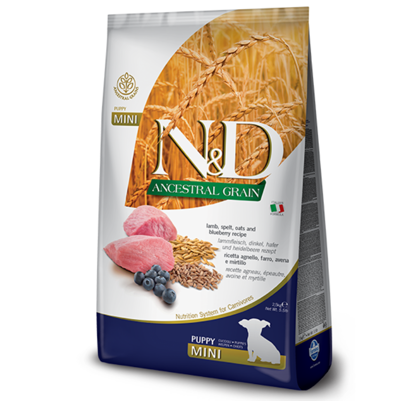ND אנסס לכלב כבש גור מיני 2.5 קילוגרם
