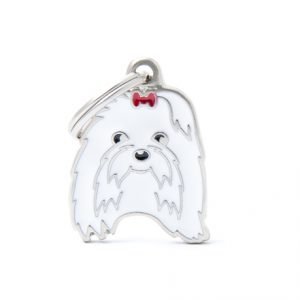 תג שם+ חריטה- גזעים מלטז 1 יחידה