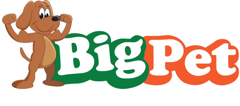 ביג פט - Big Pet