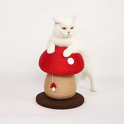 FOFOS מתקן גירוד פטריה