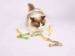 פופוס צעצוע גלילי קפיץ לחתול 3 יחידה