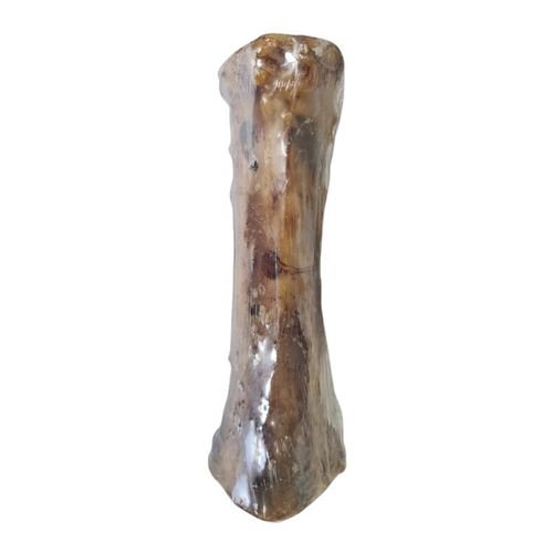 האו&amp;מיאו עצם מח בקר