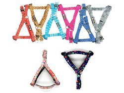 ריתמה פטסלנד S 1 יחידה