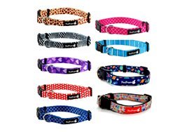 קולר בד צבעוני פטסלנד