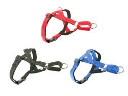 SMART PLUS  רתמה מרופדת