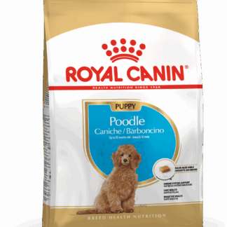 Royal Canin רויאל קנין פודל גור – Poodle Puppy (3 ק"ג)