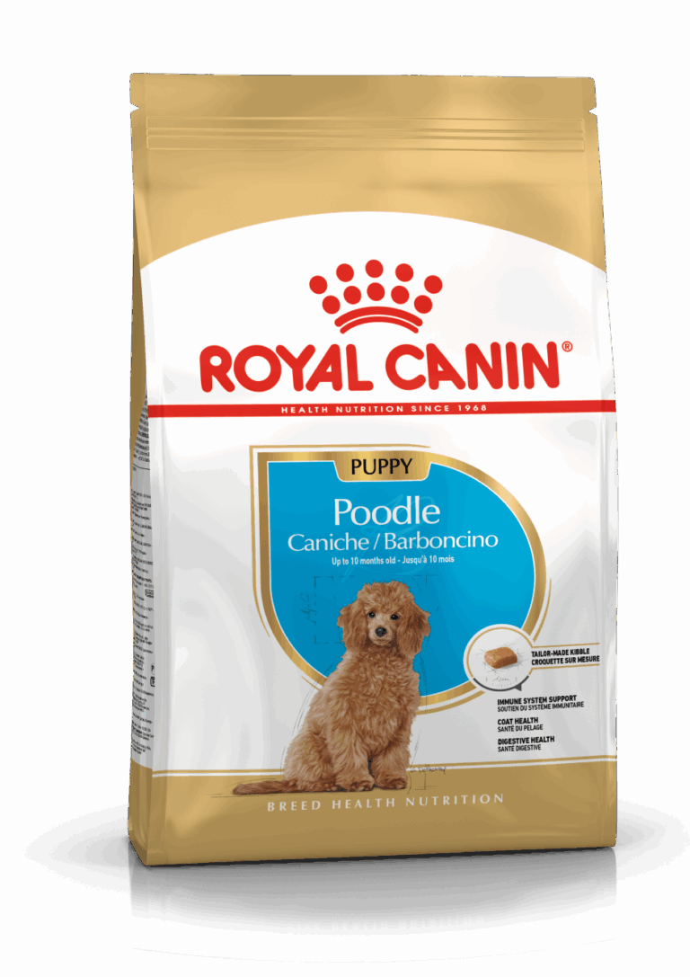 Royal Canin רויאל קנין פודל גור – Poodle Puppy (3 ק"ג)