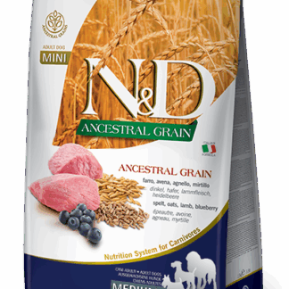 nd כבש אוכמניות כלב מיני 2.5 קילוגרם